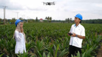 Holding Perkebunan Nusantara Percepat Transformasi Digital, PalmCo Sertifikasi Operator Drone Perkuat Sistem Pemantauan Kebun
