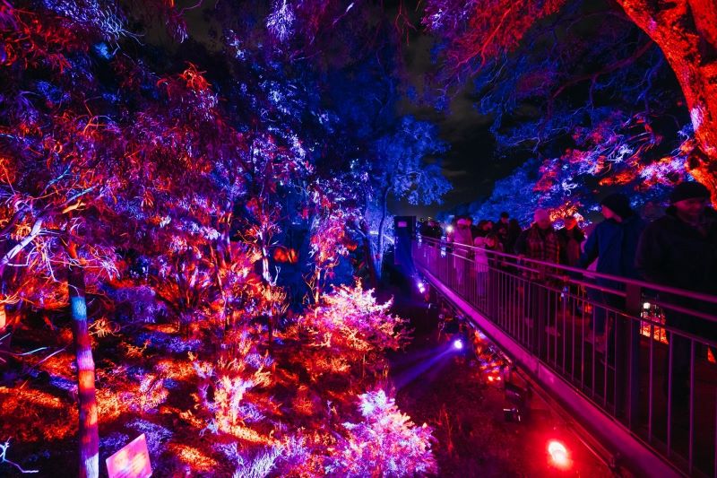 Lightscape Perth 2026 Sulap Kings Park Menjadi Destinasi Musim Dingin Penuh Cahaya dan Keajaiban Lightscape Perth 2026 Sulap Kings Park Menjadi Destinasi Musim Dingin Penuh Cahaya dan Keajaiban