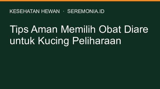 Tips Aman Memilih Obat Diare untuk Kucing Peliharaan