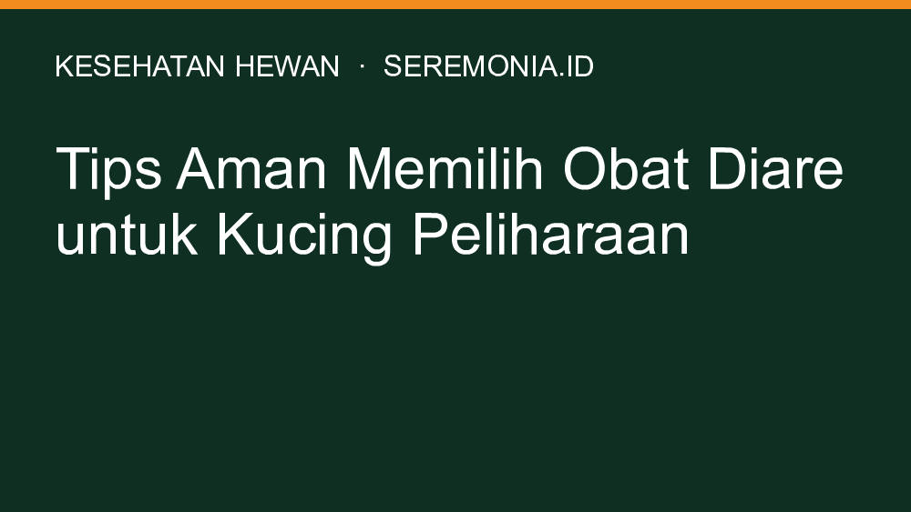 Tips Aman Memilih Obat Diare untuk Kucing Peliharaan