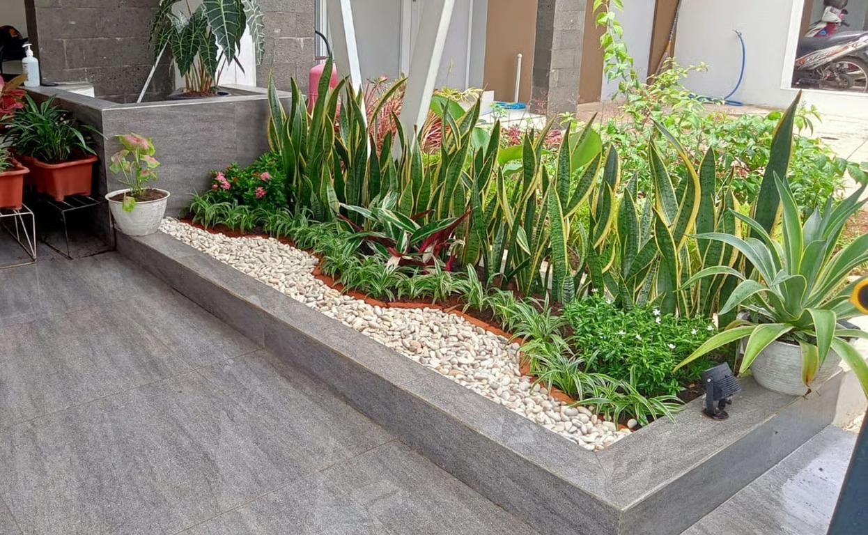 Pagi Ceria Memperkuat Layanan Jasa Taman dan Kolam di Area Jabodetabek Pagi Ceria Memperkuat Layanan Jasa Taman dan Kolam di Area Jabodetabek