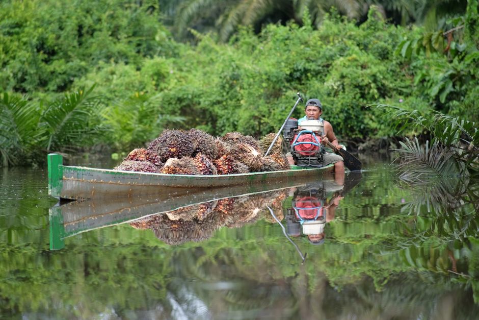 Indonesia Promosikan Bioenergi Sawit ke Rusia dan Eurasia