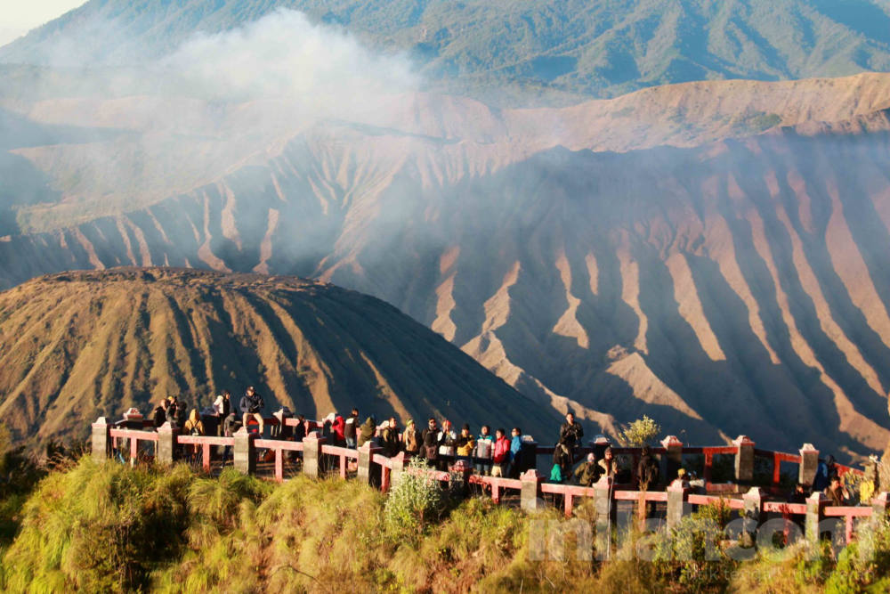 Foto: Wisata Bukit King Kong Spot Instagramable Melihat Gunung Bromo Foto: Wisata Bukit King Kong Spot Instagramable Melihat Gunung Bromo