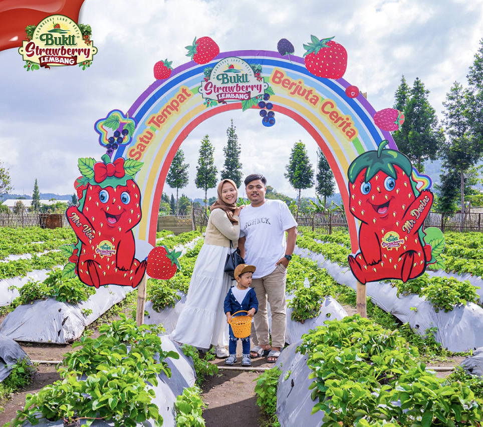 Rekomendasi Wisata Kebun Strawberry Bandung yang Kids Friendly