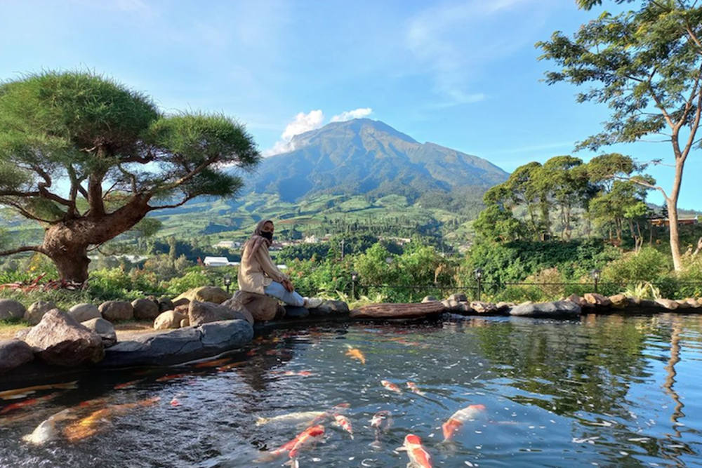 Fasilitas dan Harga Tiket Sigandul View Temanggung Halaman all