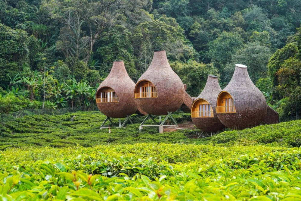 Kunjungi Objek Wisata Alam di Bogor Ini, Murah & Instagramable Kunjungi Objek Wisata Alam di Bogor Ini, Murah & Instagramable