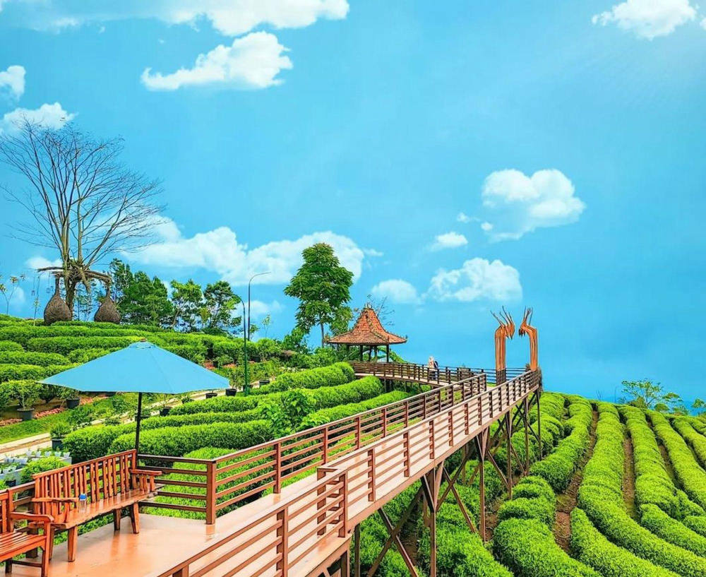 Asstro Highland Ciater: Family Friendly Attraction in Subang Asstro Highland Ciater: Family Friendly Attraction in Subang