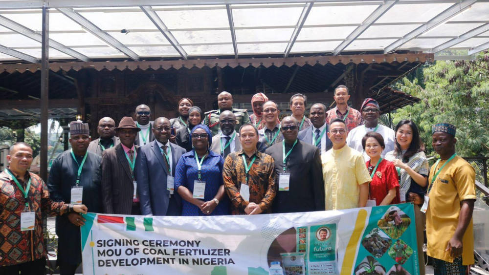 Coal Fertilizer Development di Negeria