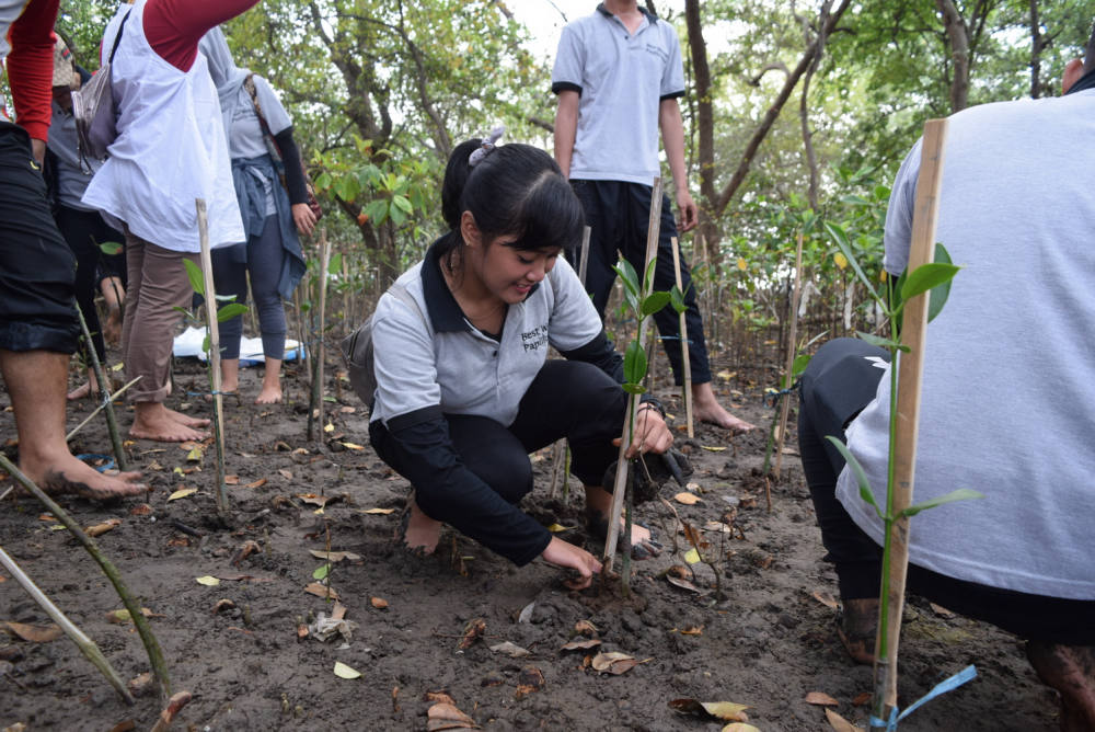 Best Western Cares : 100 Pohon untuk Menyelamatkan Bumi