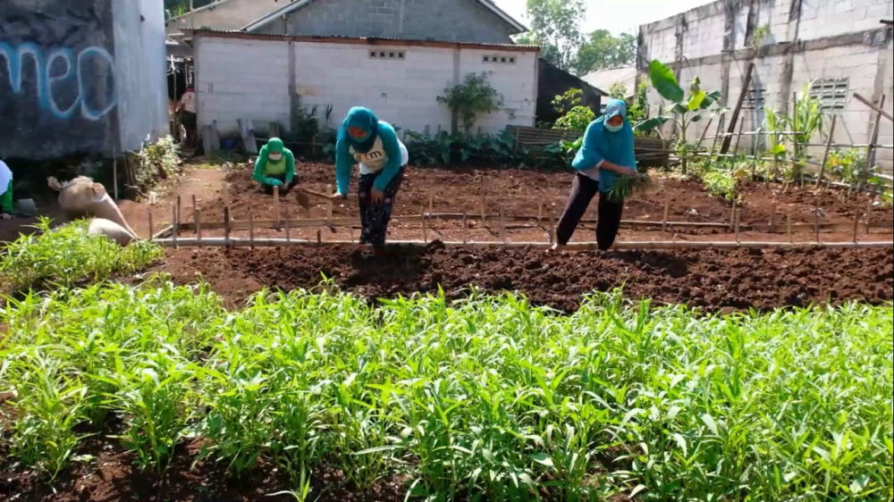 Pengembangan EcoVillage untuk Meningkatkan Kualitas Hidup * PT Karabha Digdaya Ajak Warga Tapos Kembangkan Kebun Sayur dan Abon Lele