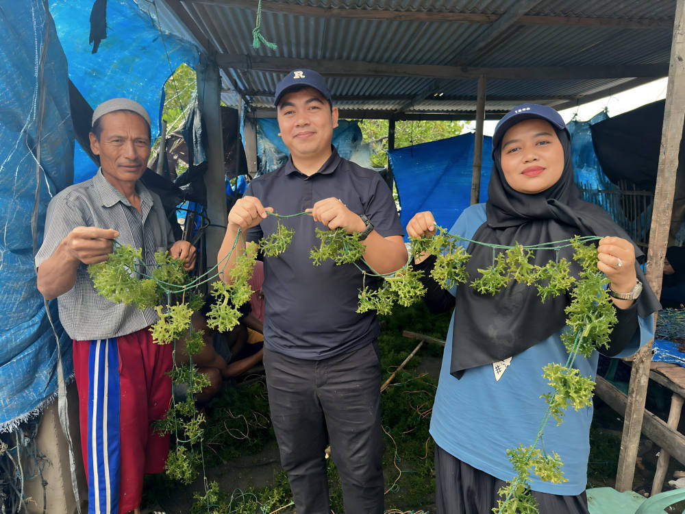 BANYU Raih Pendanaan Awal US,25 Juta untuk Dorong Transformasi Industri Rumput Laut Indonesia di Pasar Global