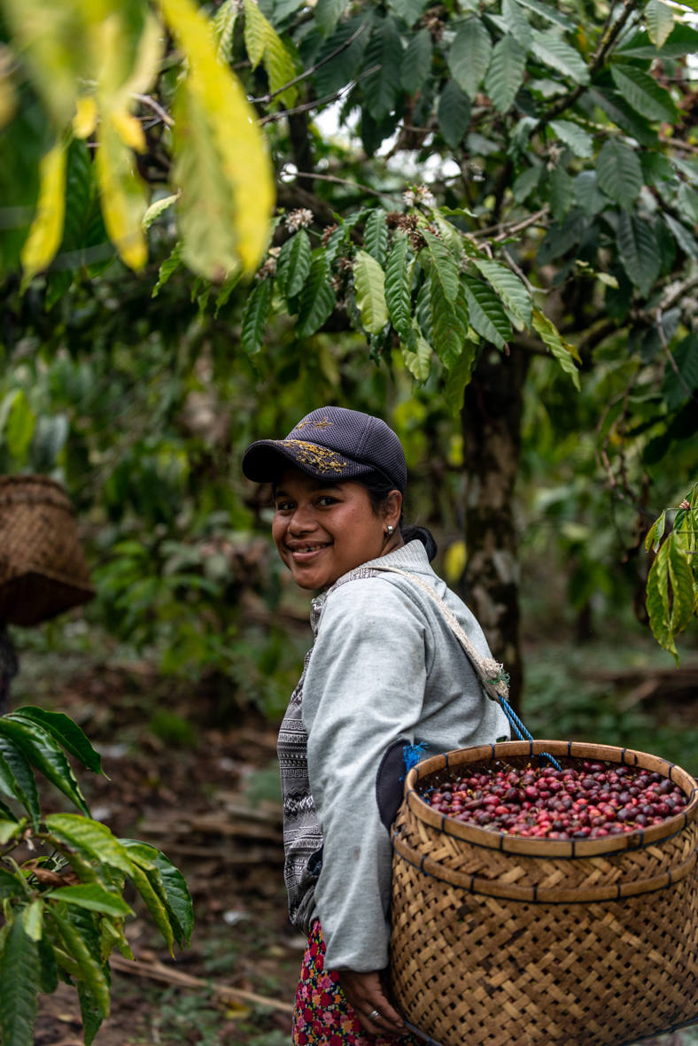 Investree Mengumumkan Kemitraan ‘Green Financing’ Dengan Java Mountain Coffee Untuk Pemberdayaan Petani Perempuan Di Pedesaan