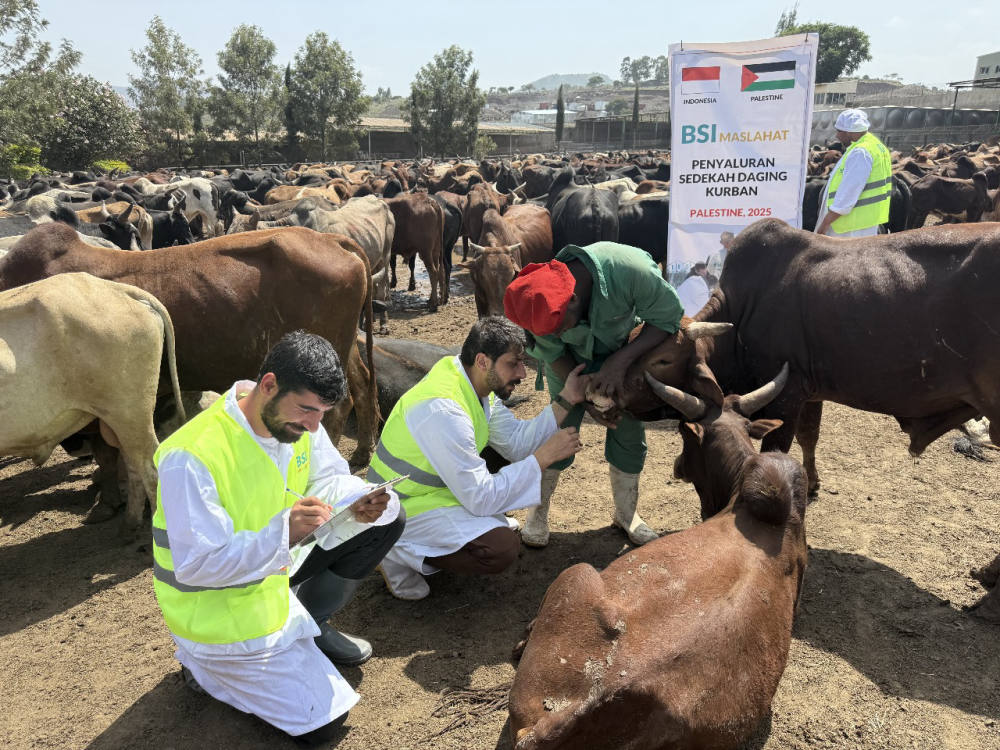 BSI Maslahat Salurkan Kurban dan Sedekah Daging untuk Palestina dalam Bentuk Daging Kaleng