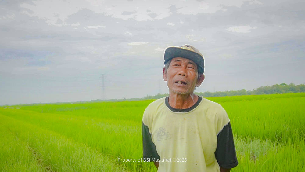 Memaknai Hari Tani Nasional Melalui Kisah Sukses Transformasi Petani  Bawang Merah Bersama BSI Maslahat 