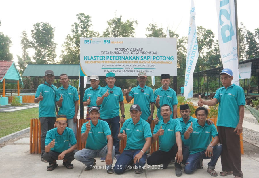 Jelang Kurban, Peternak Binaan BSI Maslahat Siapkan Sapi Berkualitas 