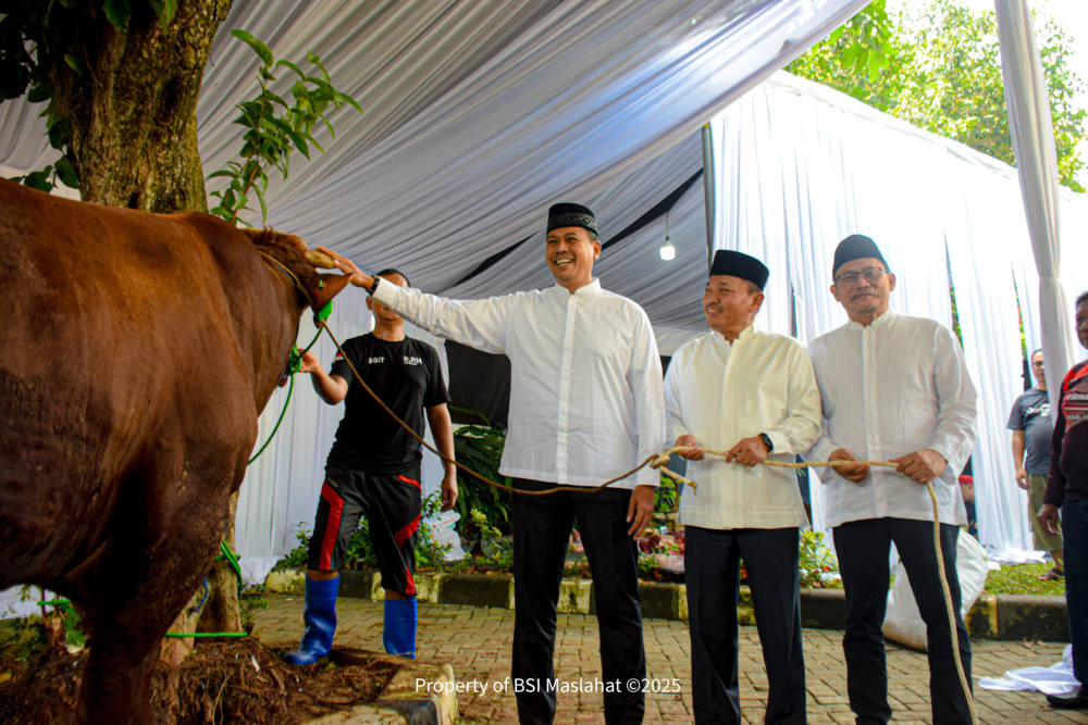 Kurban Hingga ke Pelosok, BSI Maslahat Distribusikan 10 Ribu Lebih Hewan Kurban Ke Daerah 3T