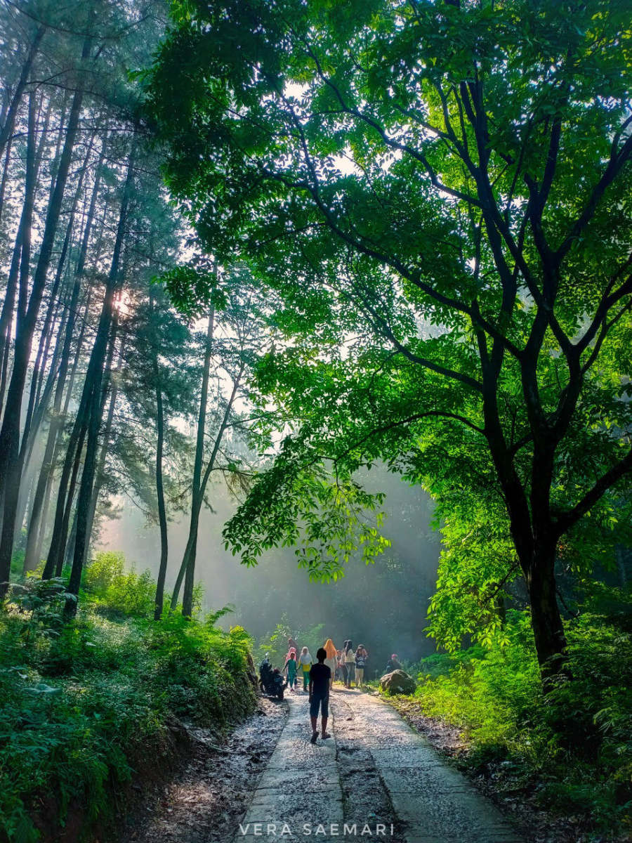 Curug Sawer Cililin Bandung Barat - Nyenang Curug Sawer Cililin Bandung Barat - Nyenang