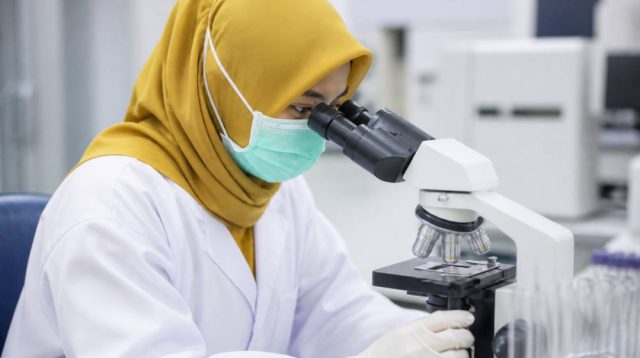 Prodia Raih Predikat Excellent di Indonesia Original Brand 2026