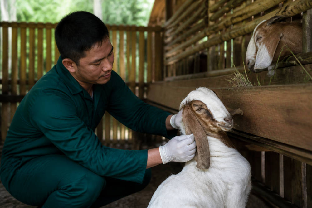 SUCOFINDO Gandeng Sukawa Edupark Bangun Pusat Peternakan Kambing