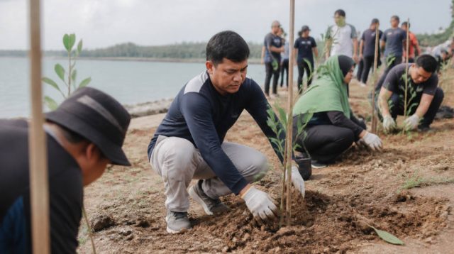 Pelindo Tanam 600 Pohon di Coastal Area Karimun