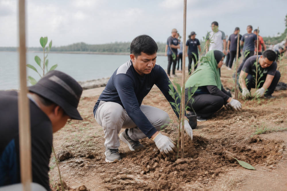 Pelindo Tanam 600 Pohon di Coastal Area Karimun
