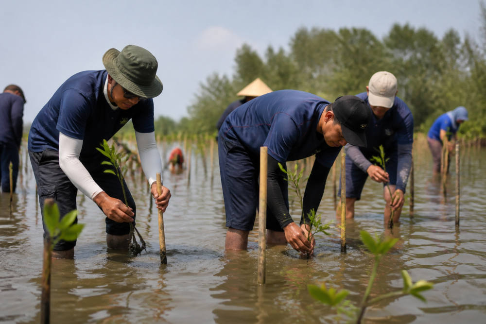 Linknet Tanam 10.000 Mangrove di Bekasi untuk HUT RI ke-81