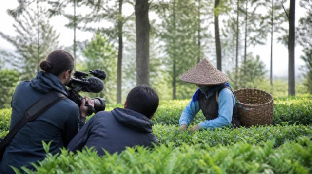 Kebun Rancabali PTPN I Disorot Media Dokumenter AS