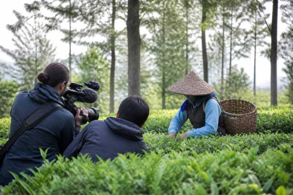 Kebun Rancabali PTPN I Disorot Media Dokumenter AS