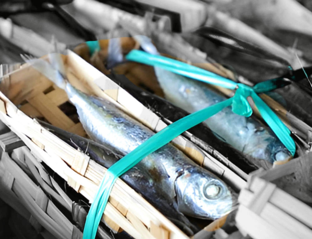 Usaha Pemindangan Ikan Dorong Pertumbuhan Ekonomi dan Kesehatan Masyarakat