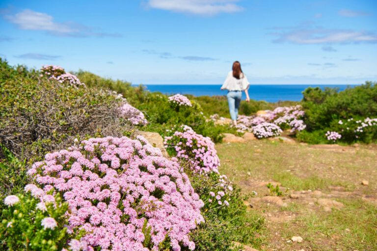 5 Pesona Festival Terbaik di Australia Barat yang Mengagumkan dan Tidak Boleh Terlewatkan!