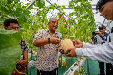 Panen Perdana Greenhouse Hidroponik, Krakatau Steel Perkuat Pendidikan Pertanian Modern dan Ketahanan Pangan Pesantren