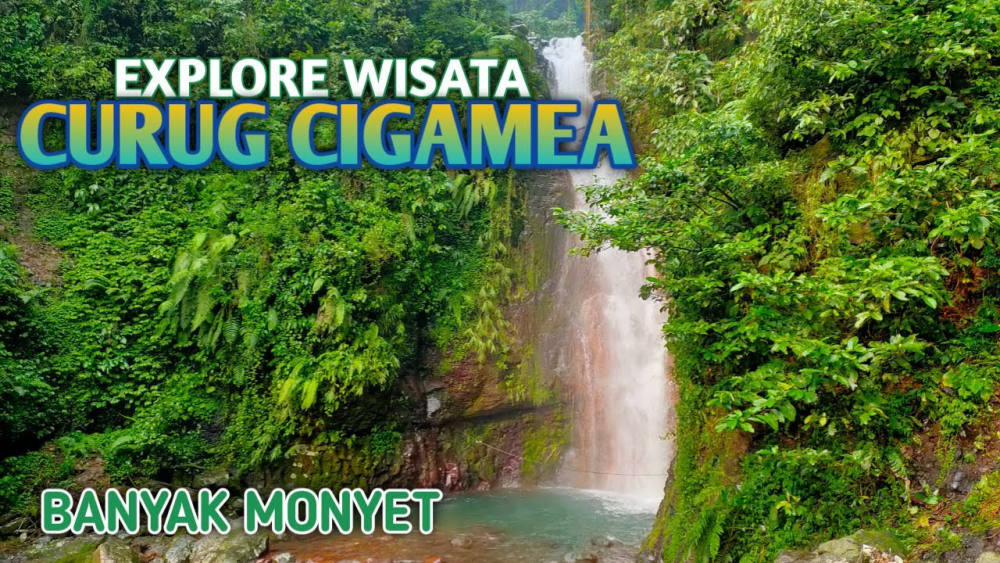 WISATA ALAM CURUG CIGAMEA BOGOR CURUGNYA ADA DUA DAN BANYAK MONYET WISATA ALAM CURUG CIGAMEA BOGOR CURUGNYA ADA DUA DAN BANYAK MONYET