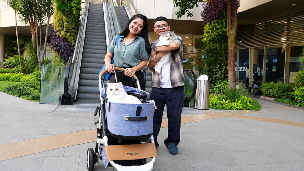Grand Galaxy Park Hadirkan Konsep Mal Ramah Kucing Grand Galaxy Park Hadirkan Konsep Mal Ramah Kucing
