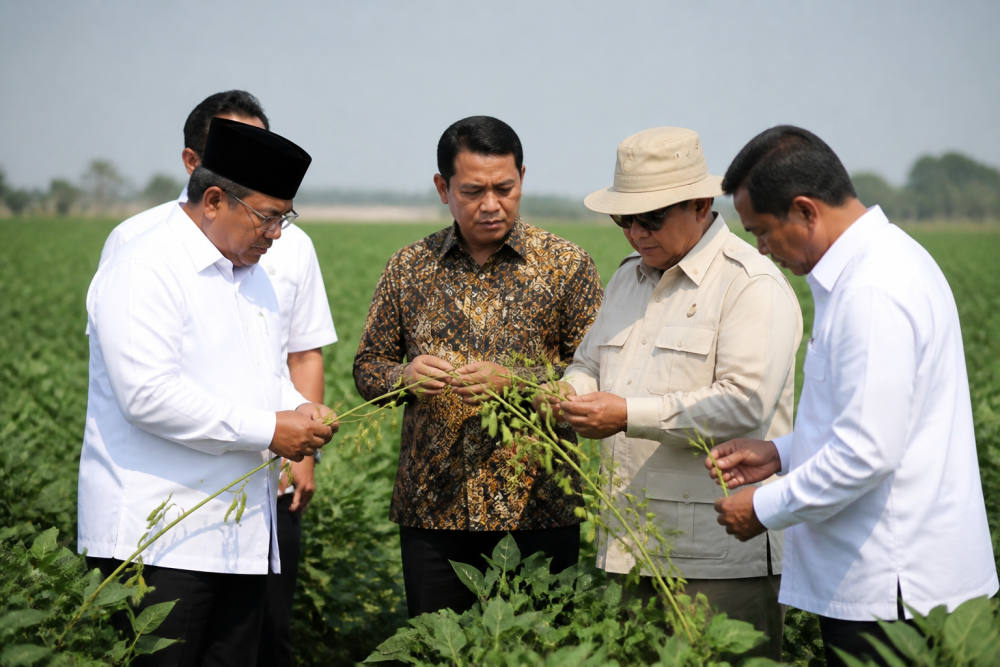 PTPN dan KUAB Garap Ekosistem Kedelai Nasional, Target 4 Tahun