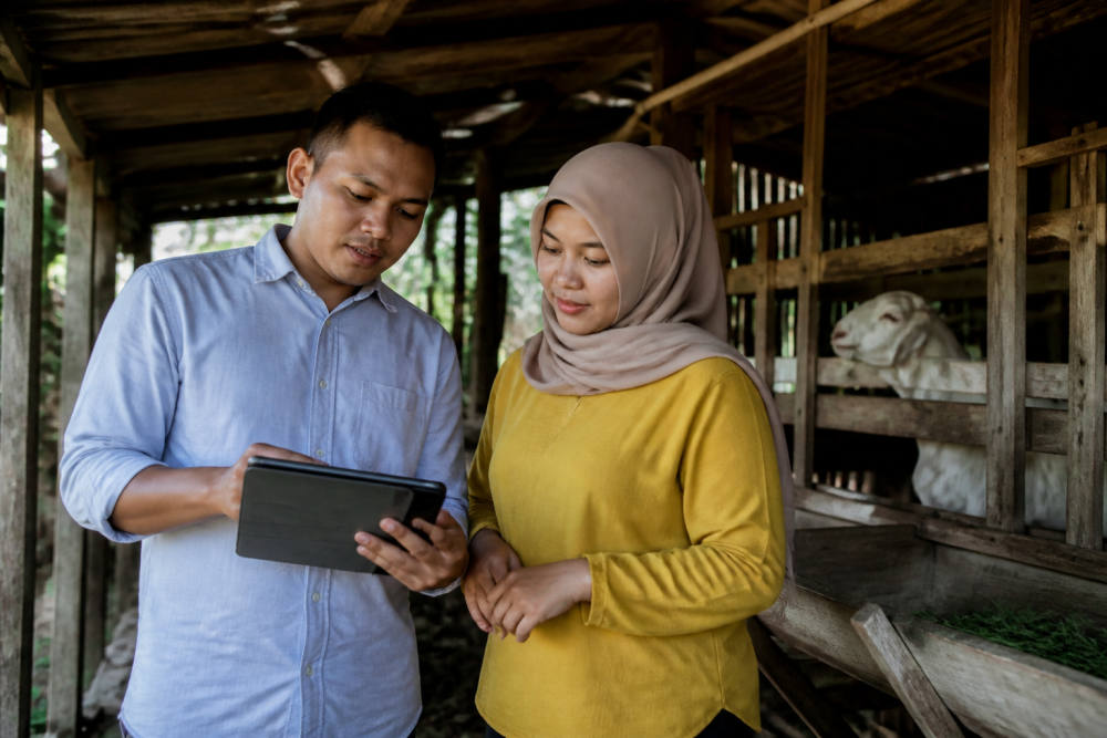 BRI Finance Genjot Pembiayaan Produktif, Jaga Kualitas Portofolio BRI Finance Genjot Pembiayaan Produktif, Jaga Kualitas Portofolio