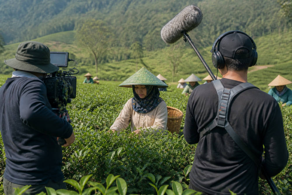 Teh Rancabali PTPN I Jadi Sorotan Dokumenter AS The Tea Trail