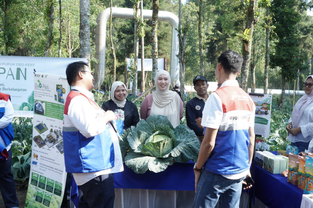 Pupuk GeO-Fert Pertamina Bantu Petani Kamojang Panen 70 Ton Kubis
