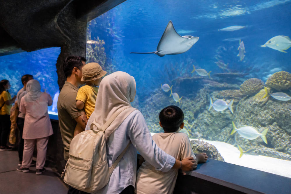 Harga Tiket Sea World Ancol 2026, Promo Bundling & Jam Buka