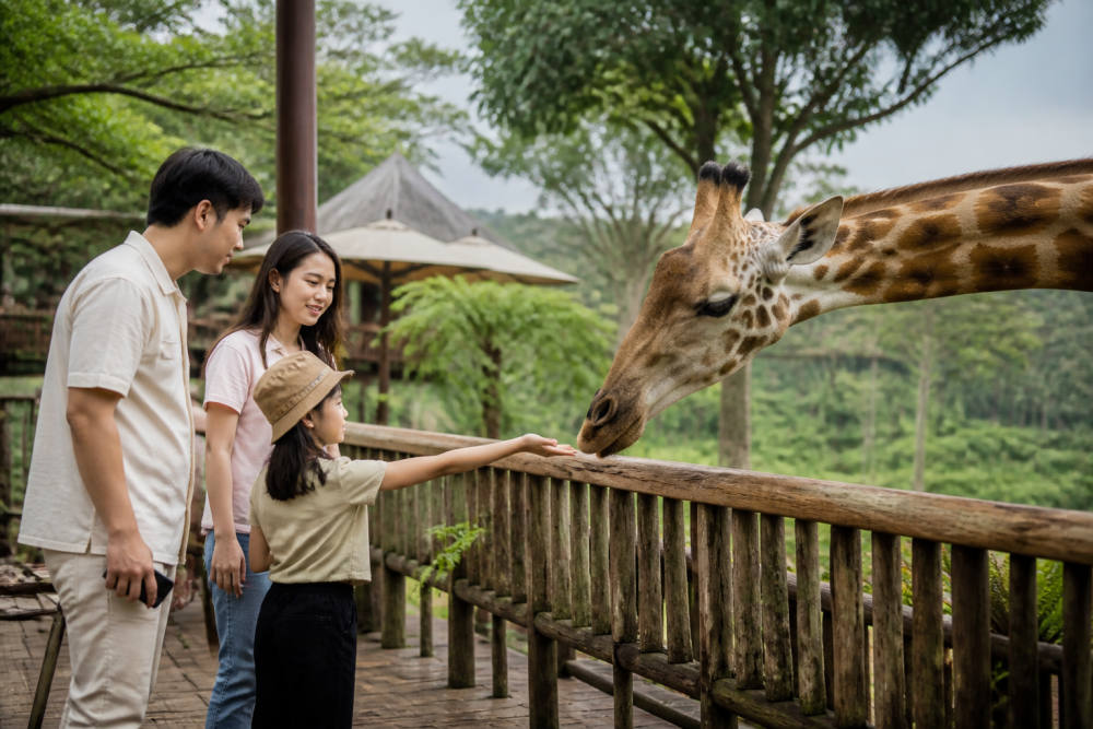 Harga Tiket Taman Safari Bogor 2026: Weekday vs Weekend