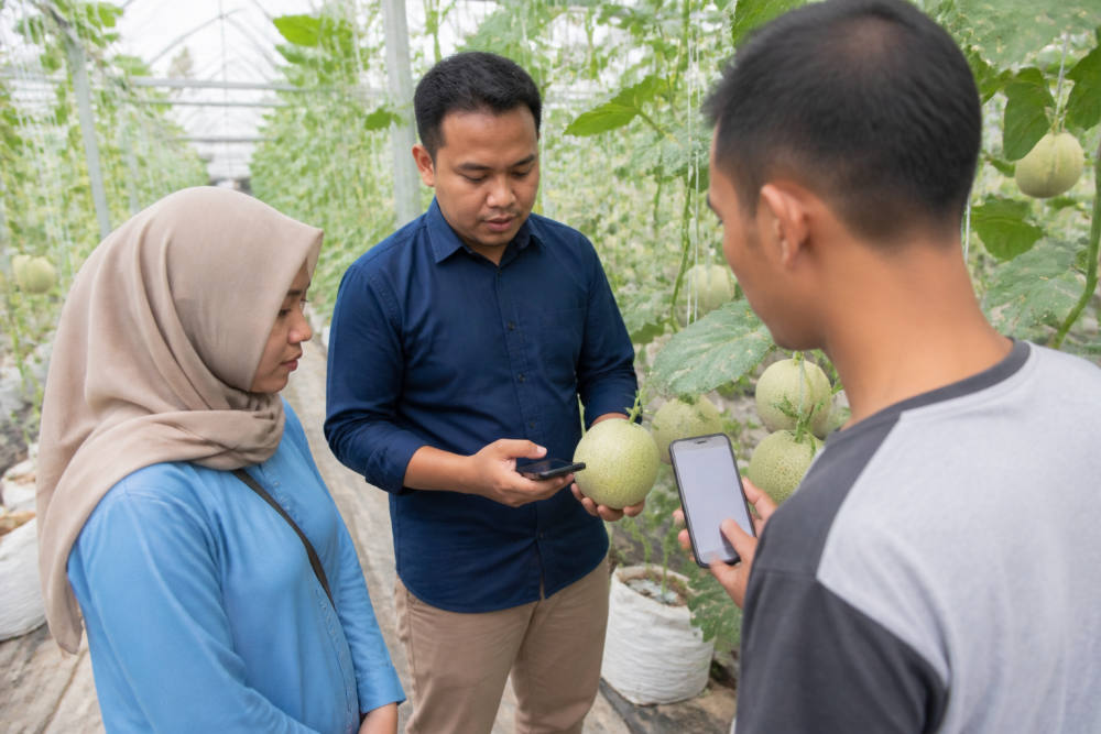 QRIS BRI Hadir di Rindu Farm, Wisata Petik Melon Klaten