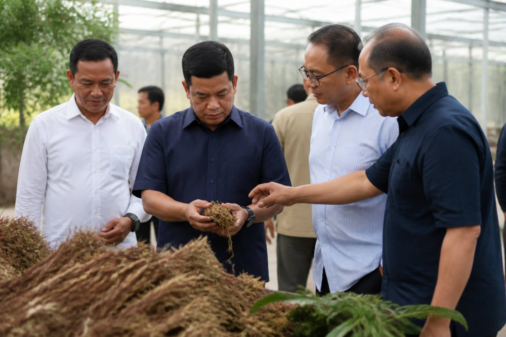 PTPN III Teken MoU dengan ID FOOD dan PT PPI soal Pemasaran