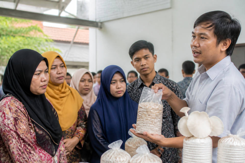Jamur Berdaya HUB, Program Pelindo Multi Terminal Berdayakan Medan Jamur Berdaya HUB, Program Pelindo Multi Terminal Berdayakan Medan