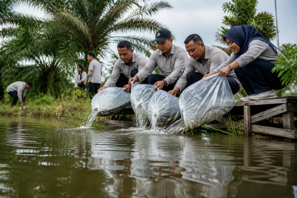 Gerakan 1,5 Juta Pohon PTPN IV: Riau Tebar 10.000 Benih Ikan