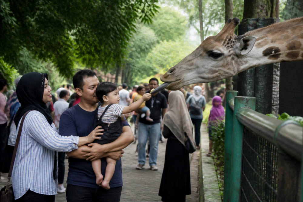 Harga Tiket Ragunan 2026: Jam Buka, Senin Tutup, JakCard